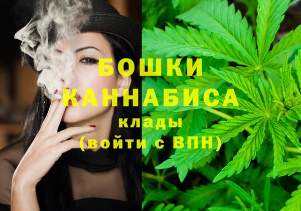 дживик Наволоки