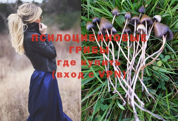 герыч Надым
