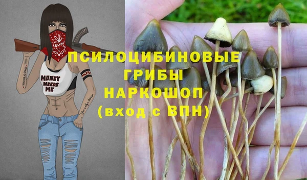 герыч Надым