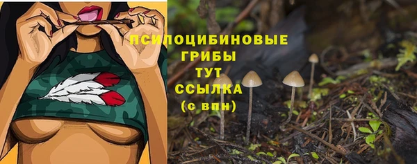 дживик Наволоки