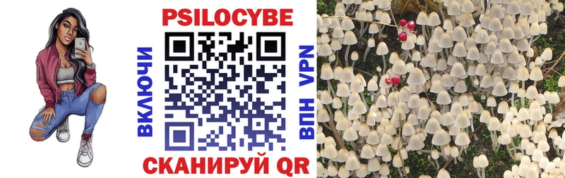 Галлюциногенные грибы мицелий  Купить где  Клин 